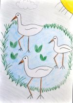 Gregušová Michaela.jpg